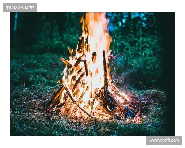 《暗影圣域》探索必备五大技巧 带你揭开神秘世界的奥秘