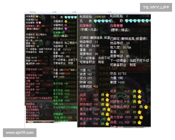 如何通过装备技能搭配与强化提升斗战神龙女刺客的战力表现