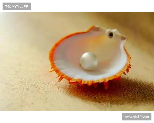 全面解读澳洲杯赛事时间安排与观赛策略的权威实用深度全方位指南