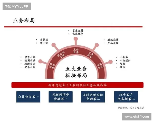 如何评估维贾薪水支付方案的可行性与合理性