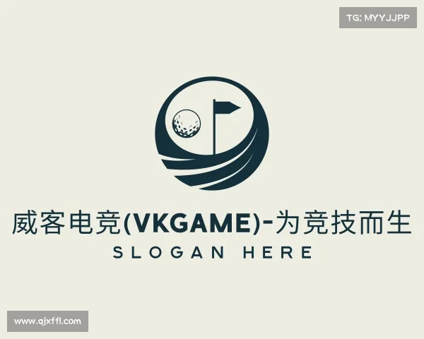 关于威客电竞(vkgame)-为竞技而生